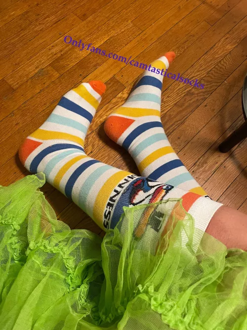 Guinness Striped Knee Socks