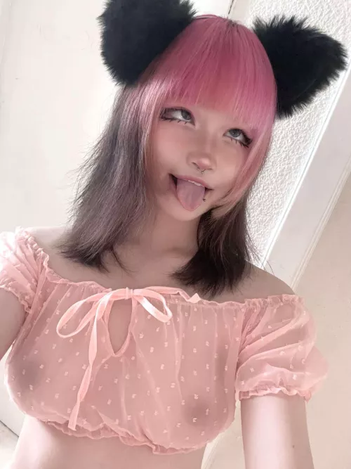 Heard ya like cat girls 😉