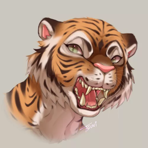 I finally learned how to draw Tigers! >:3