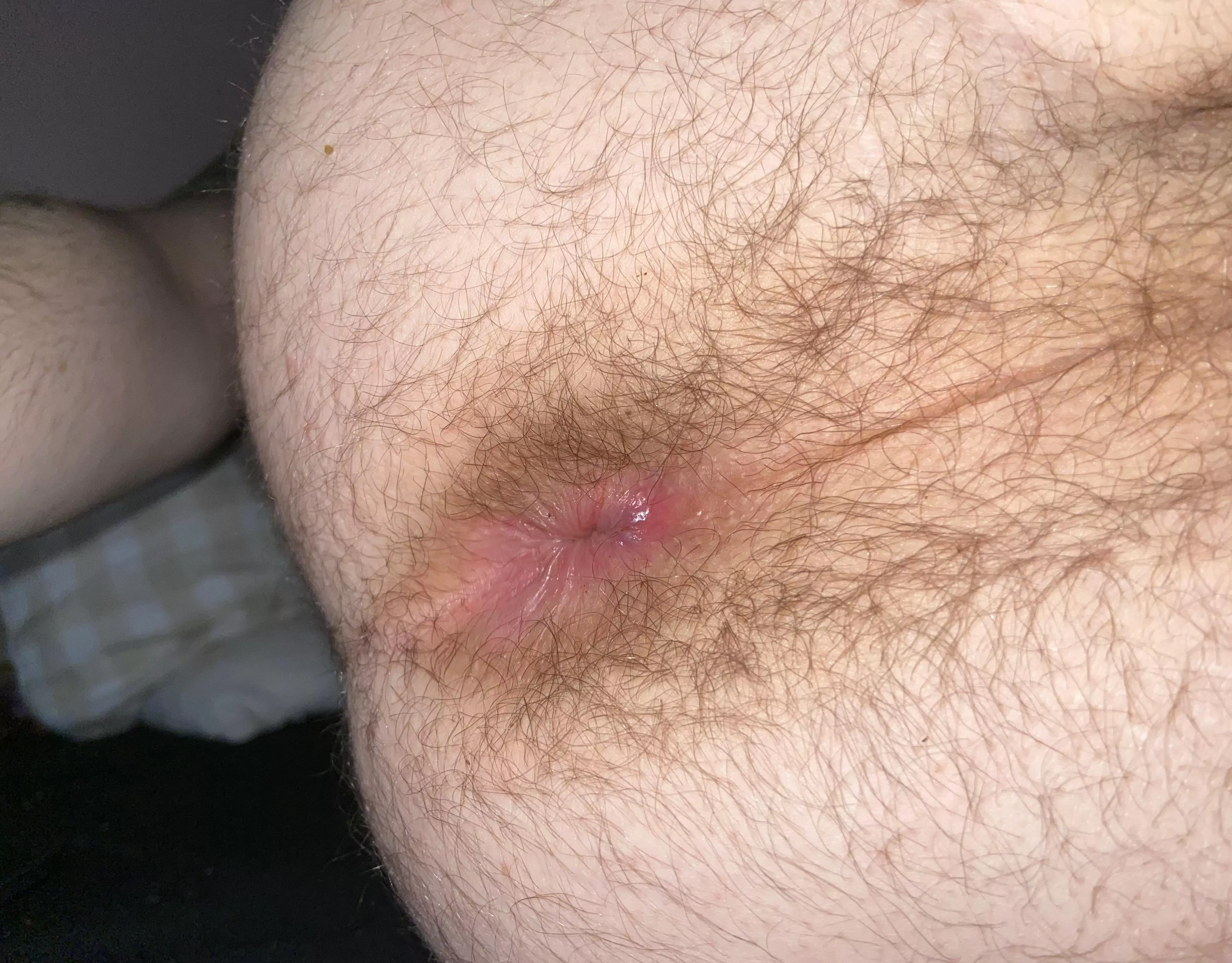 i wish i could eat my own hairy hole
