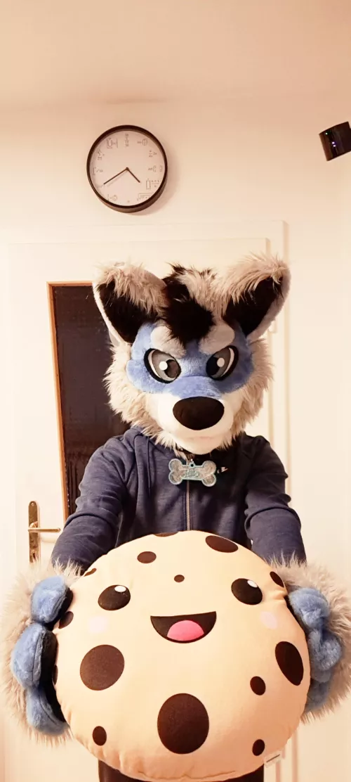 I'm sorry you had a rough day! Here, take a cookie and some doggo hugs 😊🐺