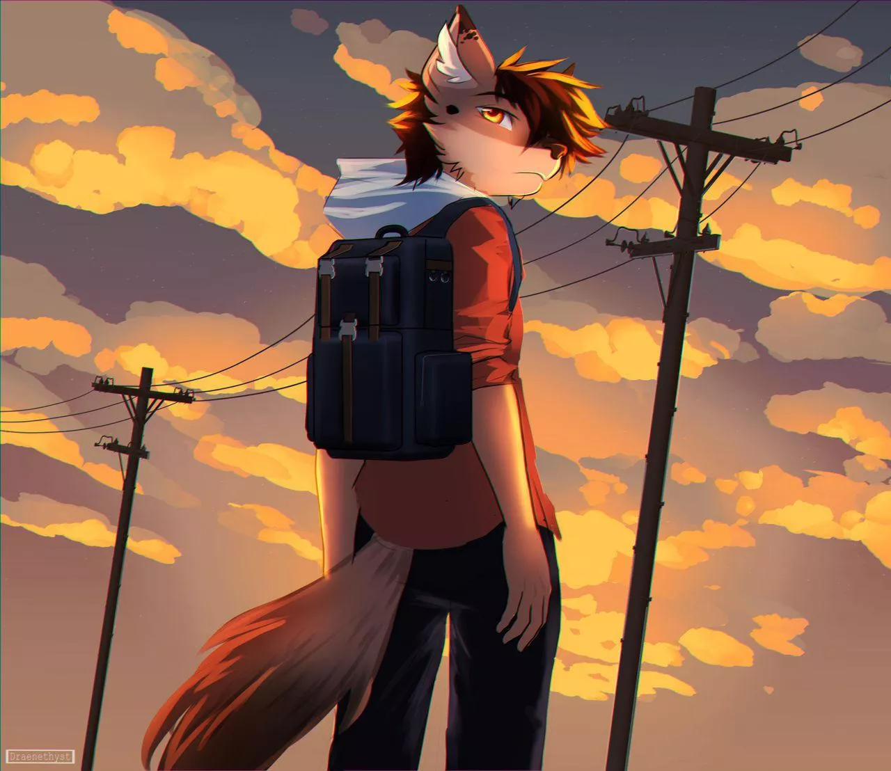 Looking back 🌇