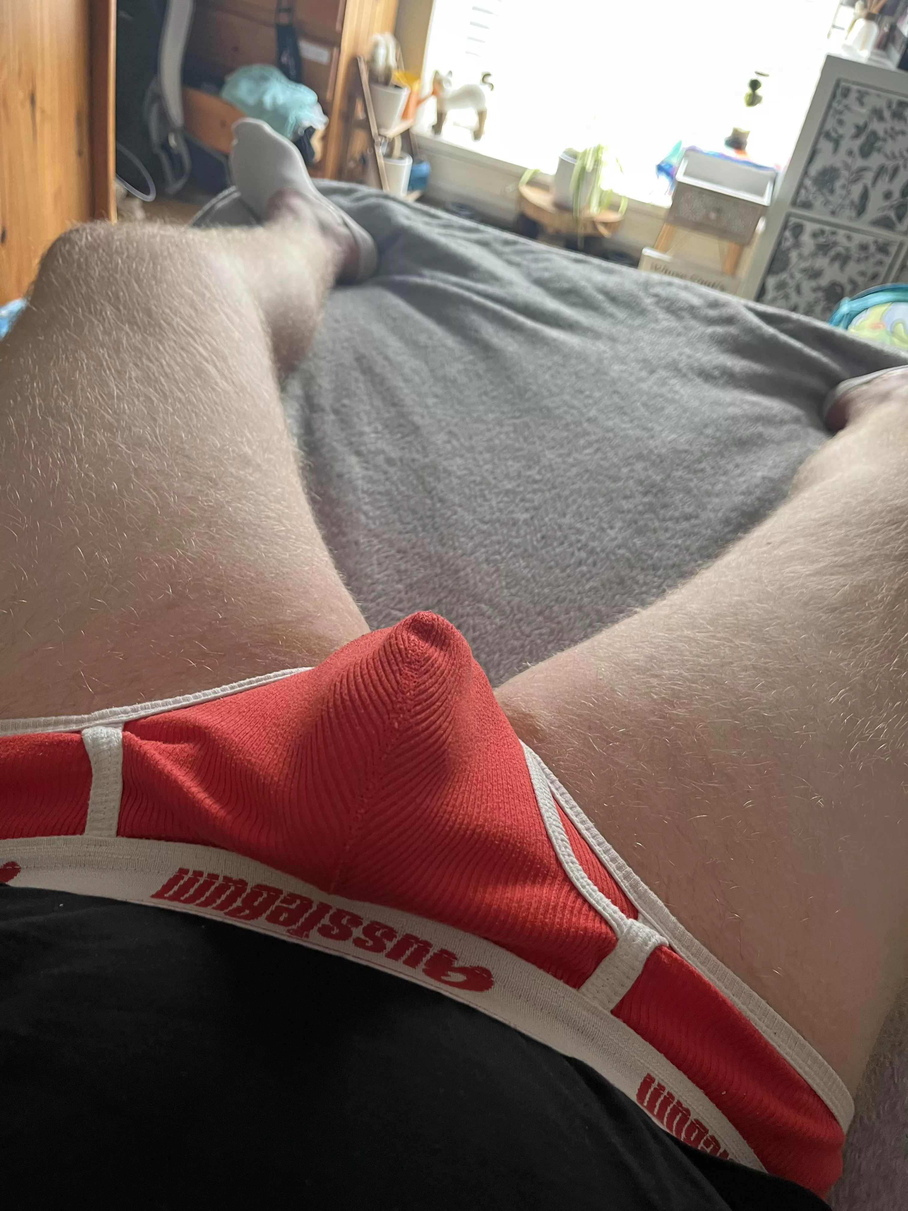 Love aussibums
