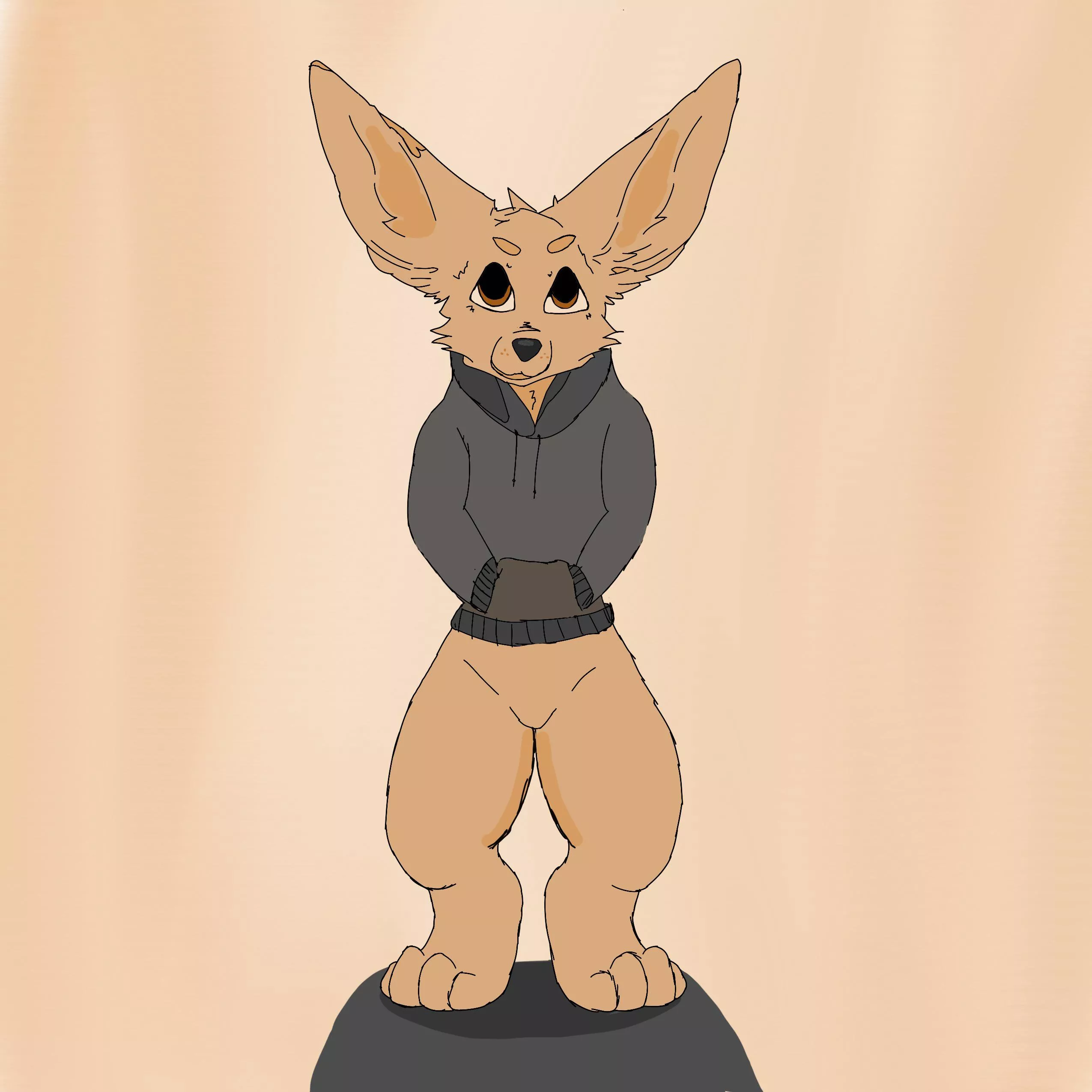 My first fursona. What should I name him?