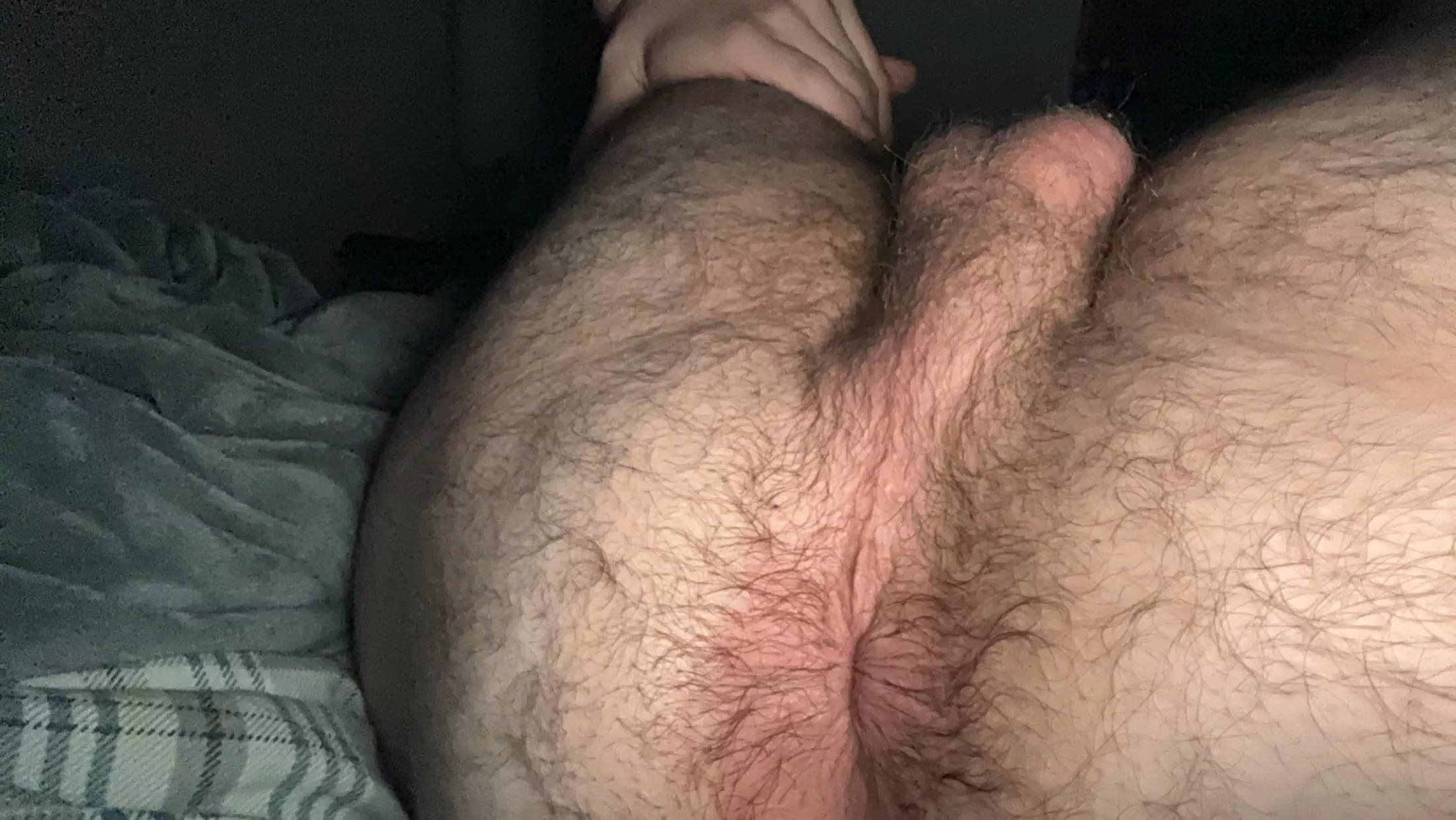 need someone to bury their face in my hole
