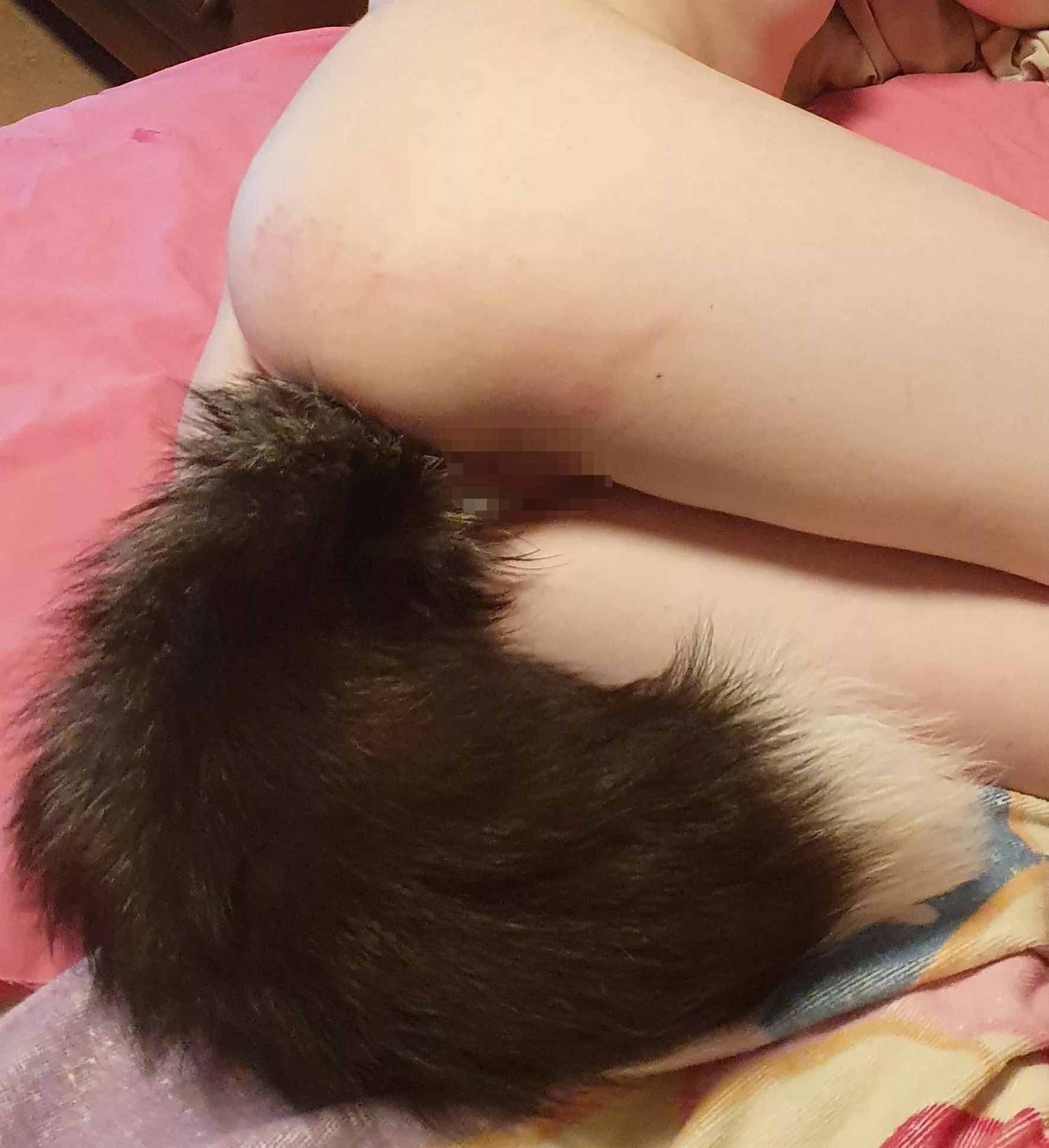 Not the best photo, but i like the fluffy tail^^