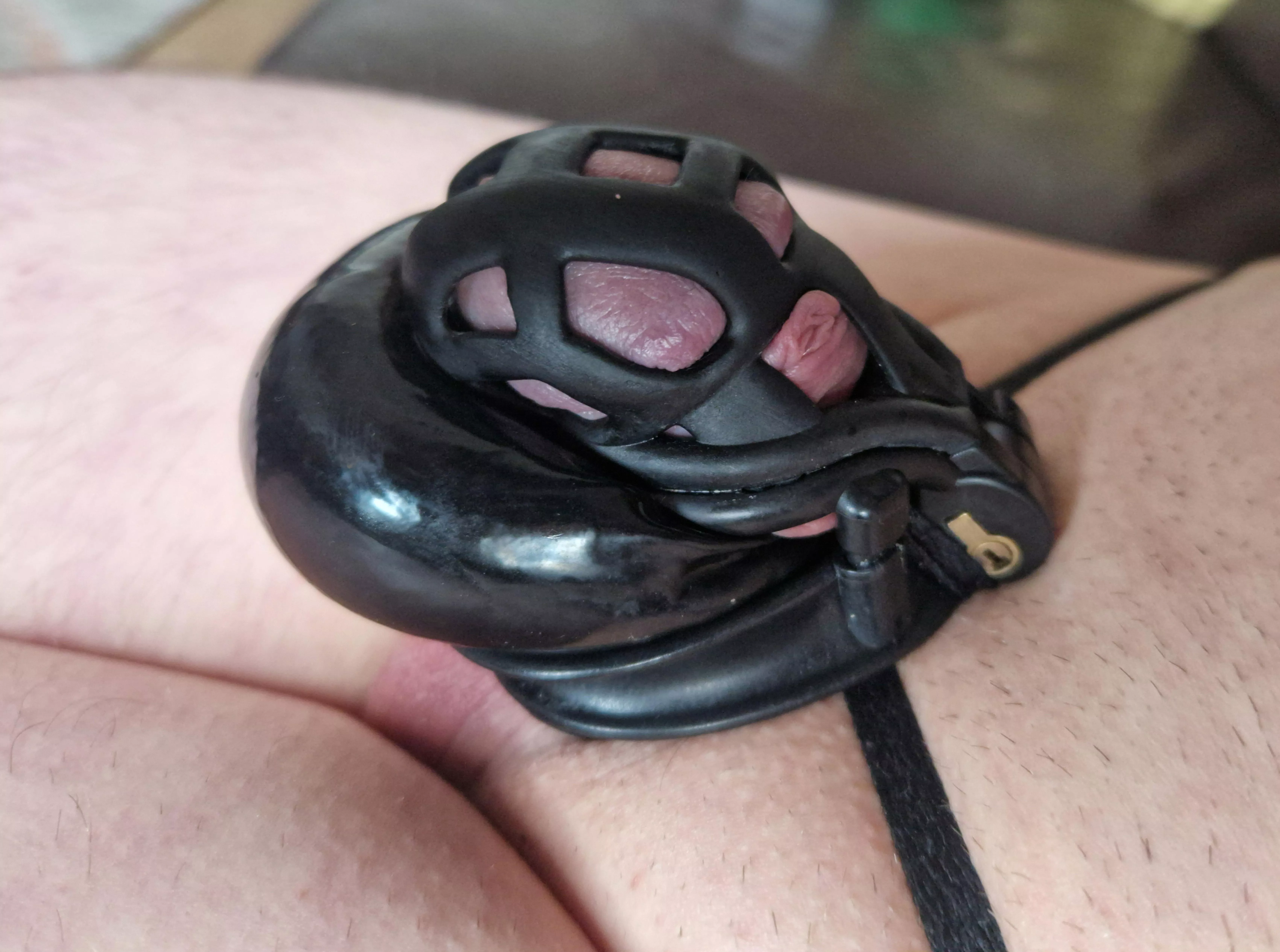 Shiny locked clitty and balls