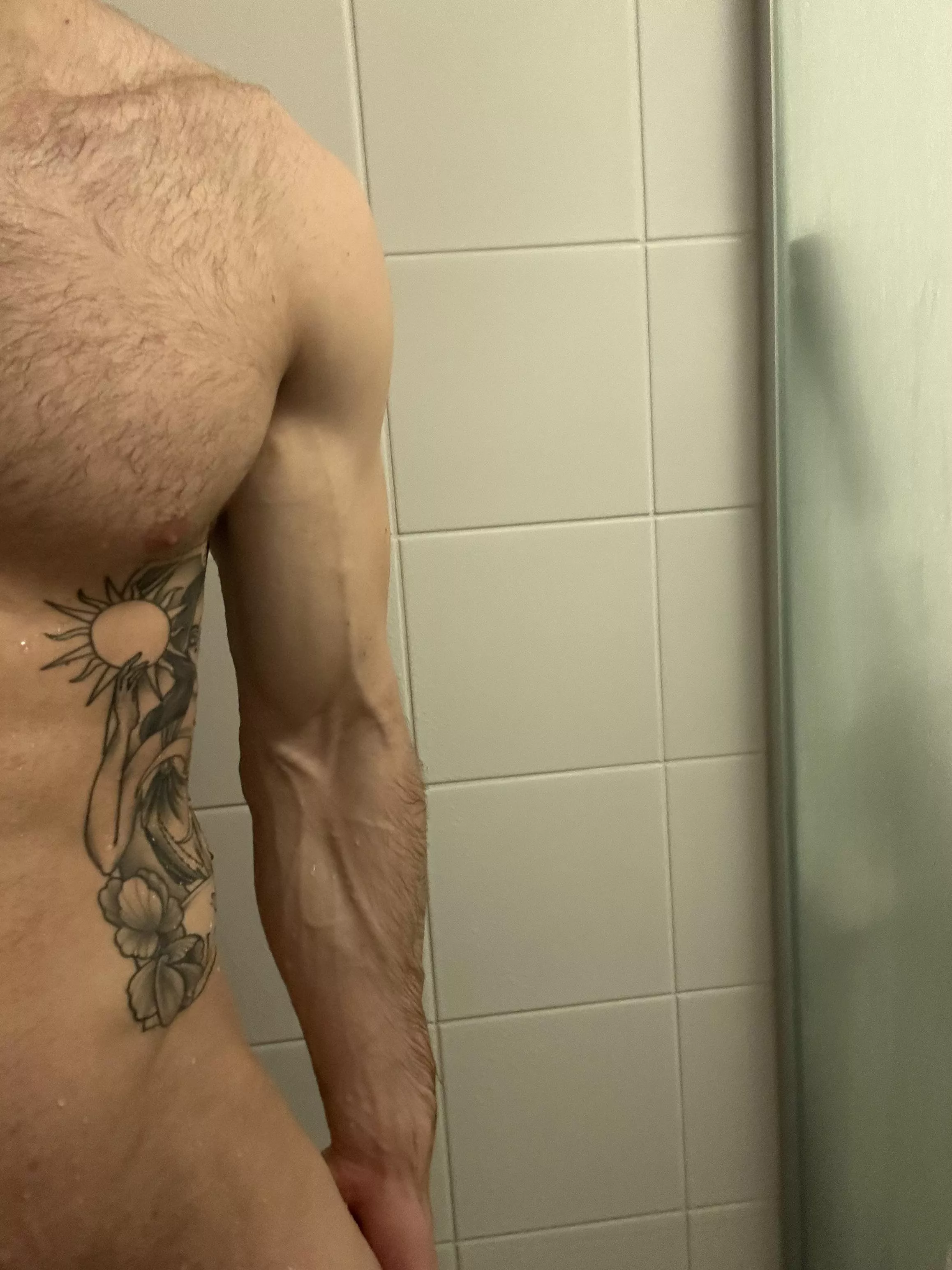 Shower arms