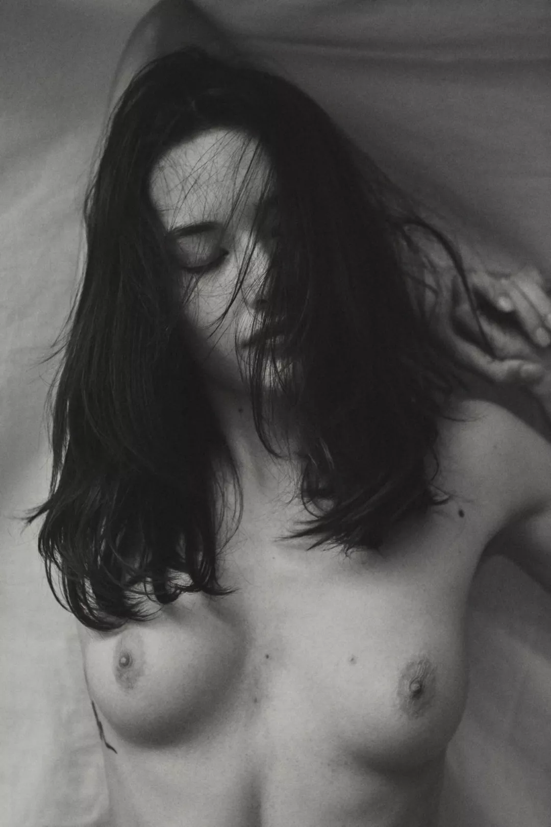 Sofia toledo