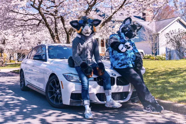 Sometimes life is a Jacato painting