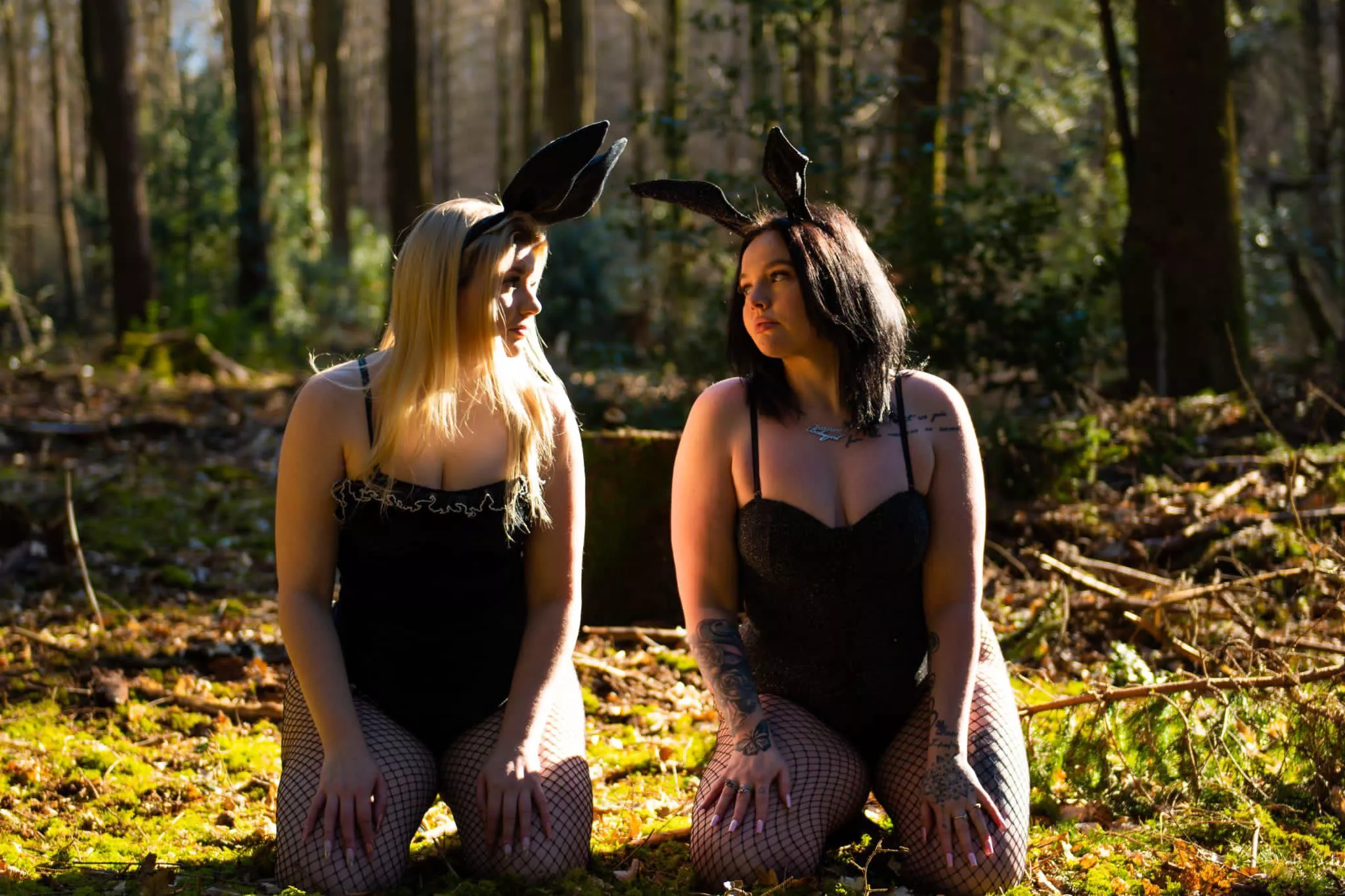 Two wild bunnies