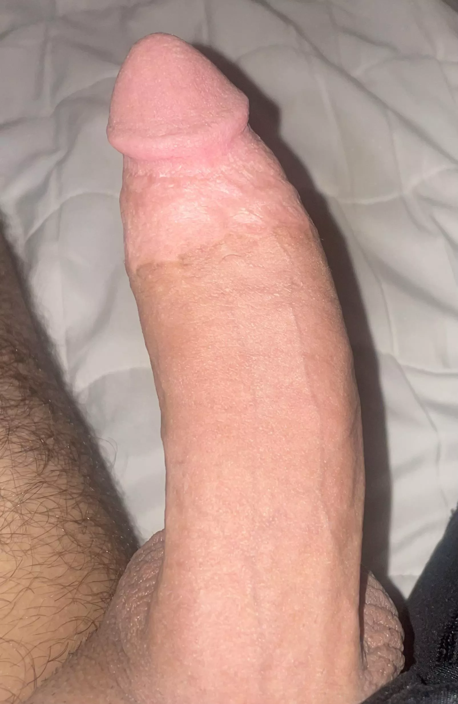 Upvote uf you like my dick