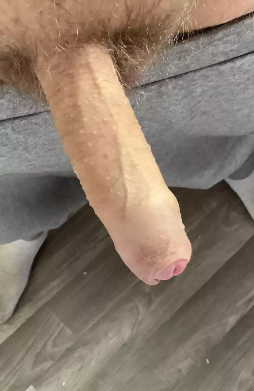 Anyone want my cock inside them?