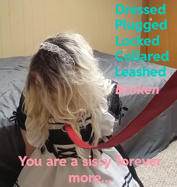 Collared Maids are the Definition of Submission