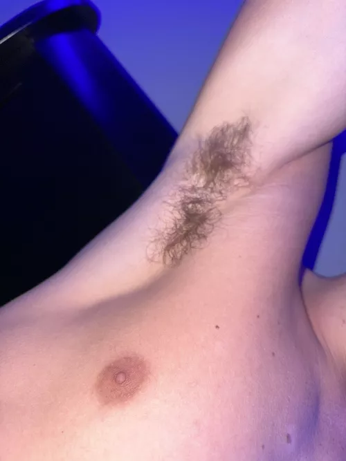 Hd hairy