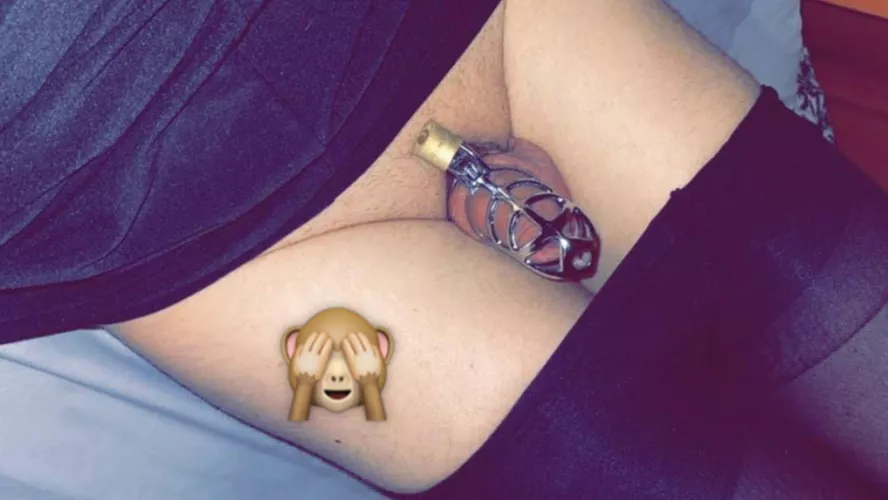 I have our grown my cage and need a smaller oneβ¦ got a nice pink one on my wish list if only I could get spoiltβ¦