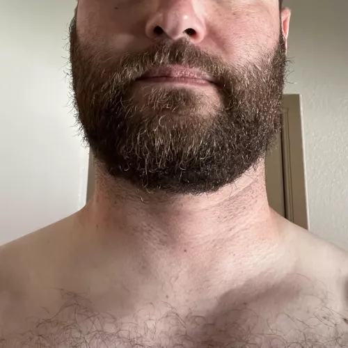 Man beard man neck