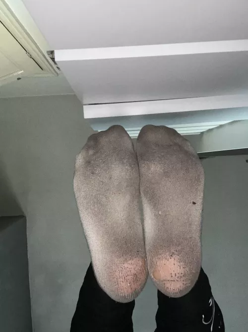 Shall I bring them closer?🤔