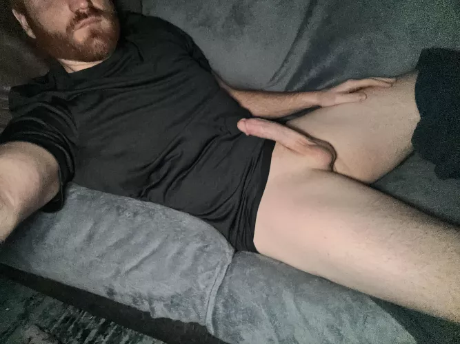 Sit on a ginger beard today!