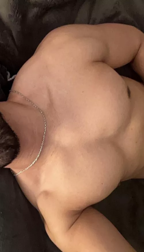 25 muscle fit. Snap aaaeche