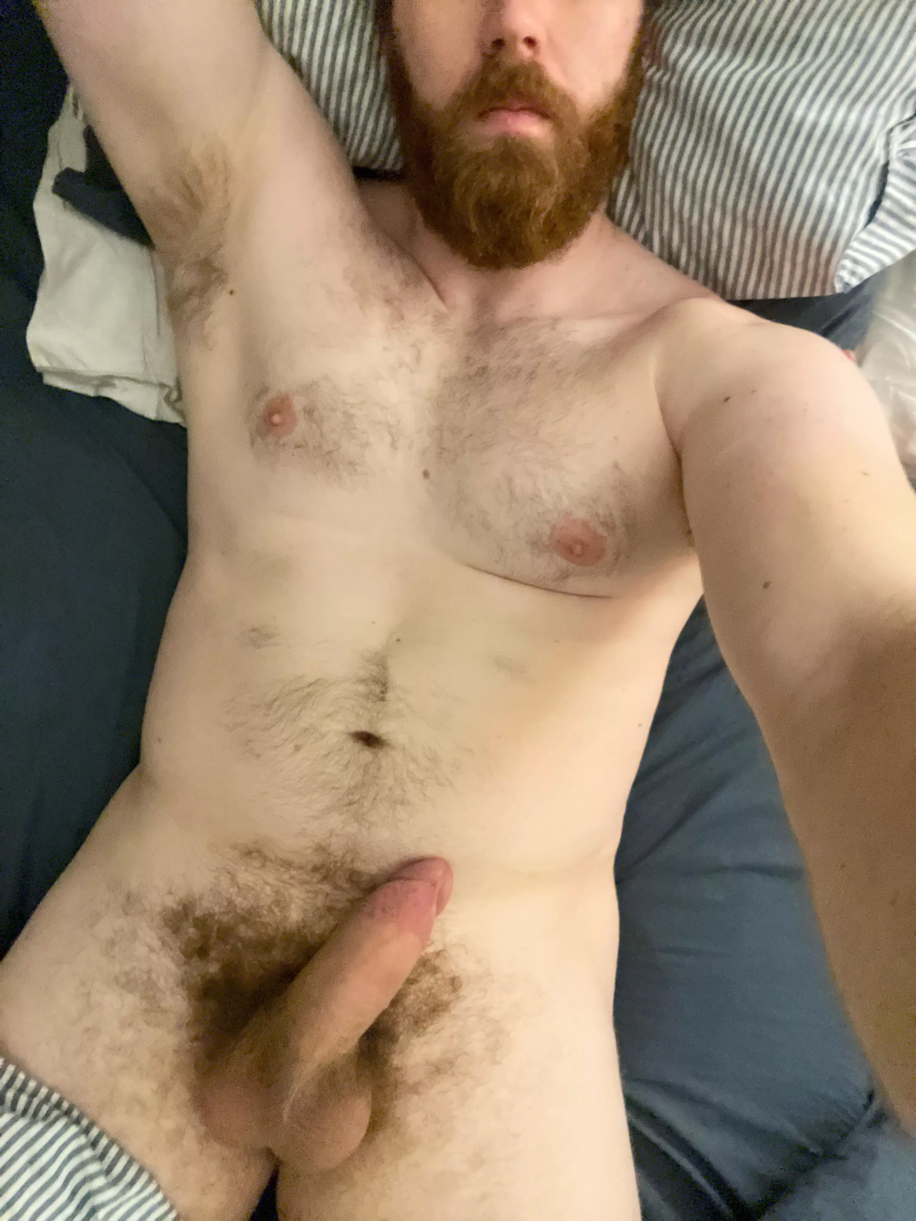 29, 6’5”, bi, and so hard thinking about pleasing you with my thick beard, thick cock, or fat ass. Tell me which one you want.
