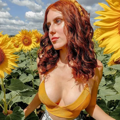 Among the sunflowers