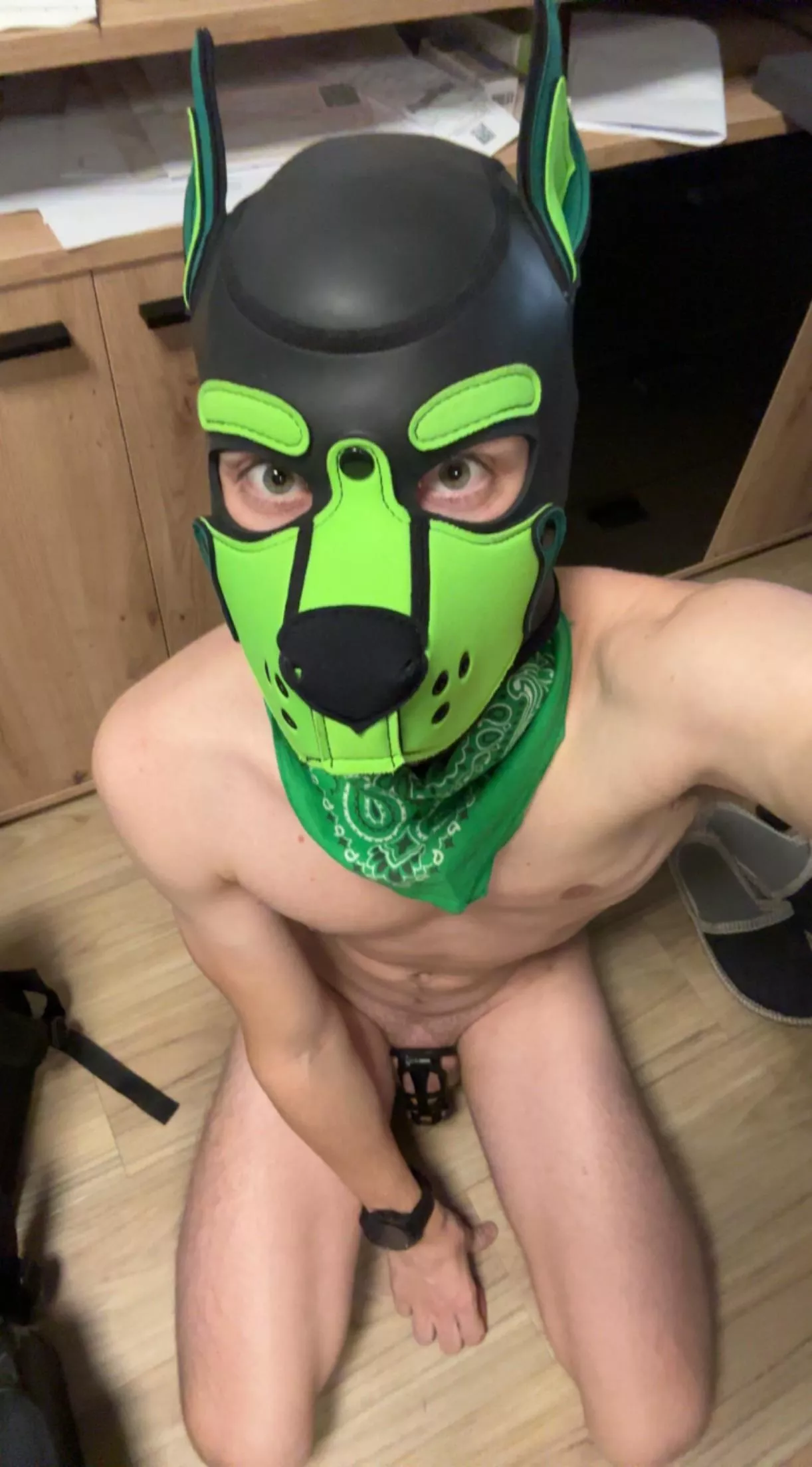 Can I haz that bone yet, pleezzzz