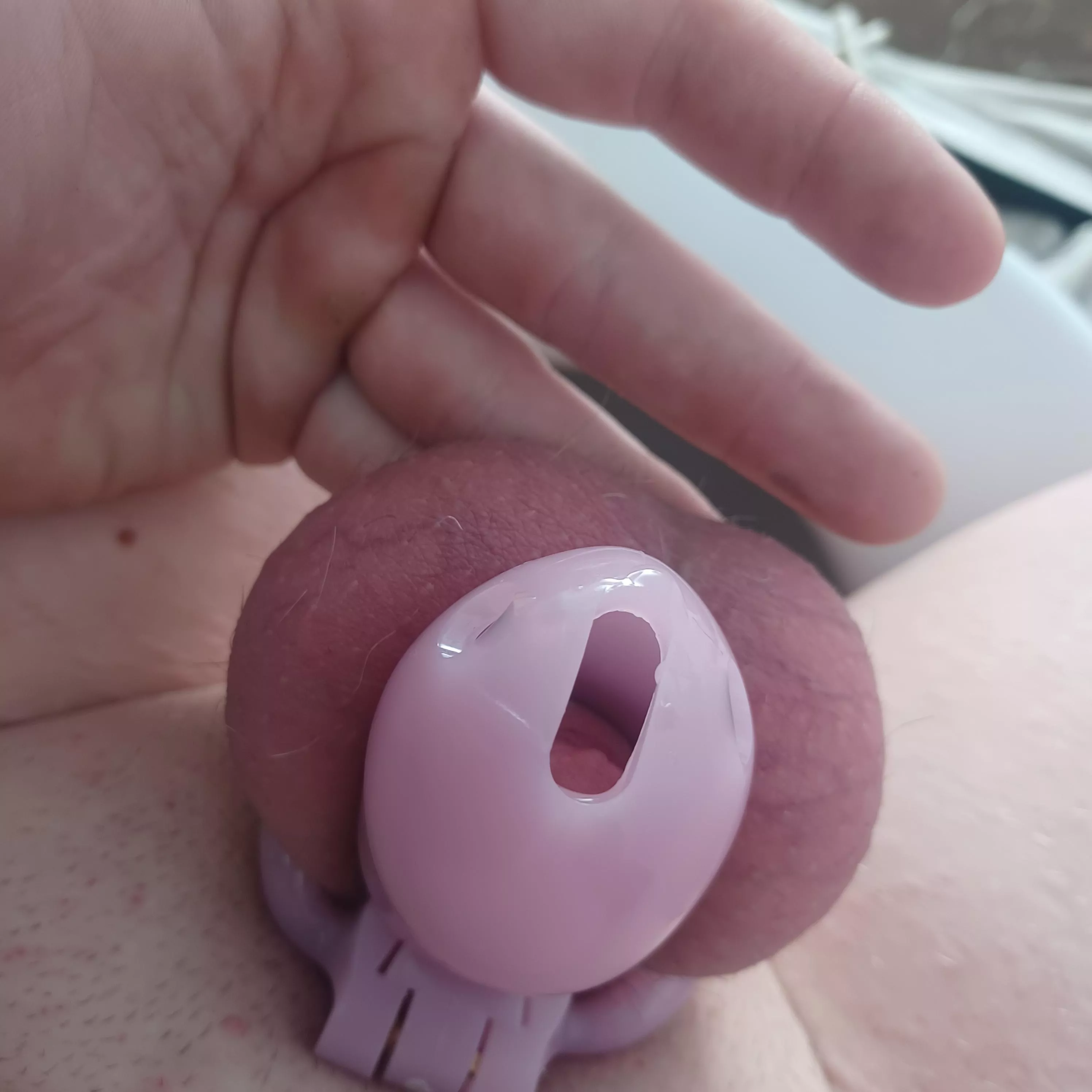 Last day in This chasty before my flat face chasity hehe Last day in This chasty before my flat face chasity hehe