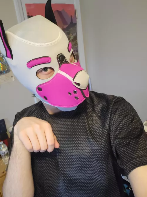 New pup mask