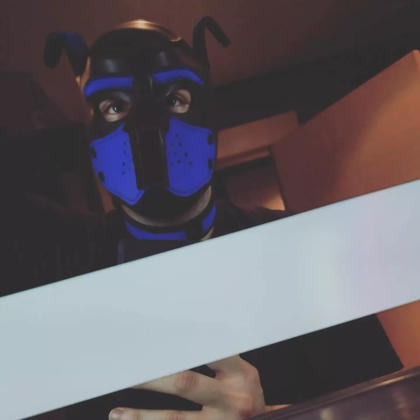 Woof!!! Feeling horny and maybe ready to dance?