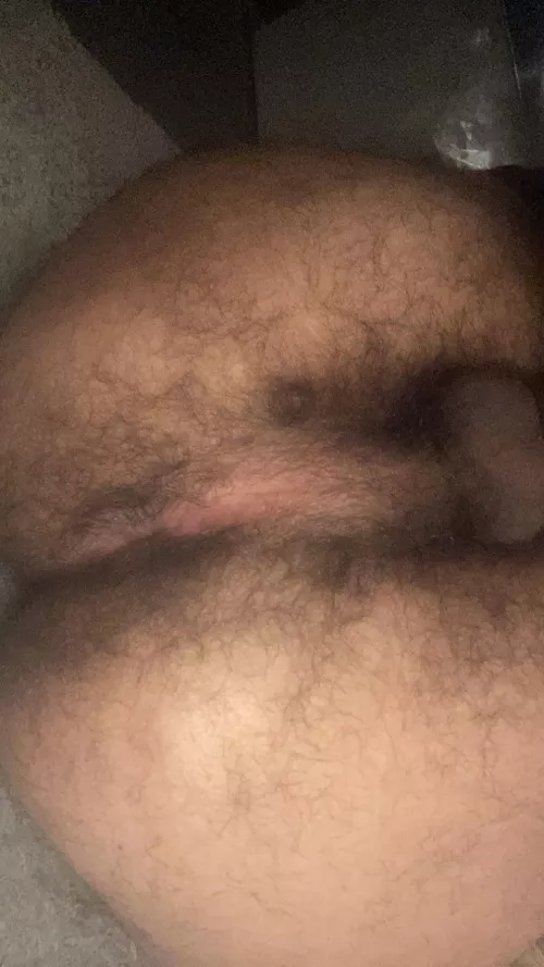 Would you breed my virgin hole?