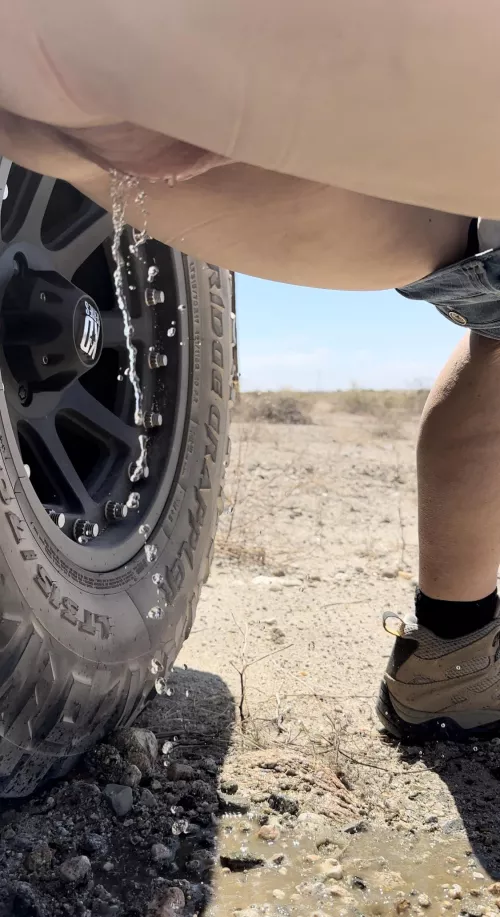 4 Wheeling Pee break