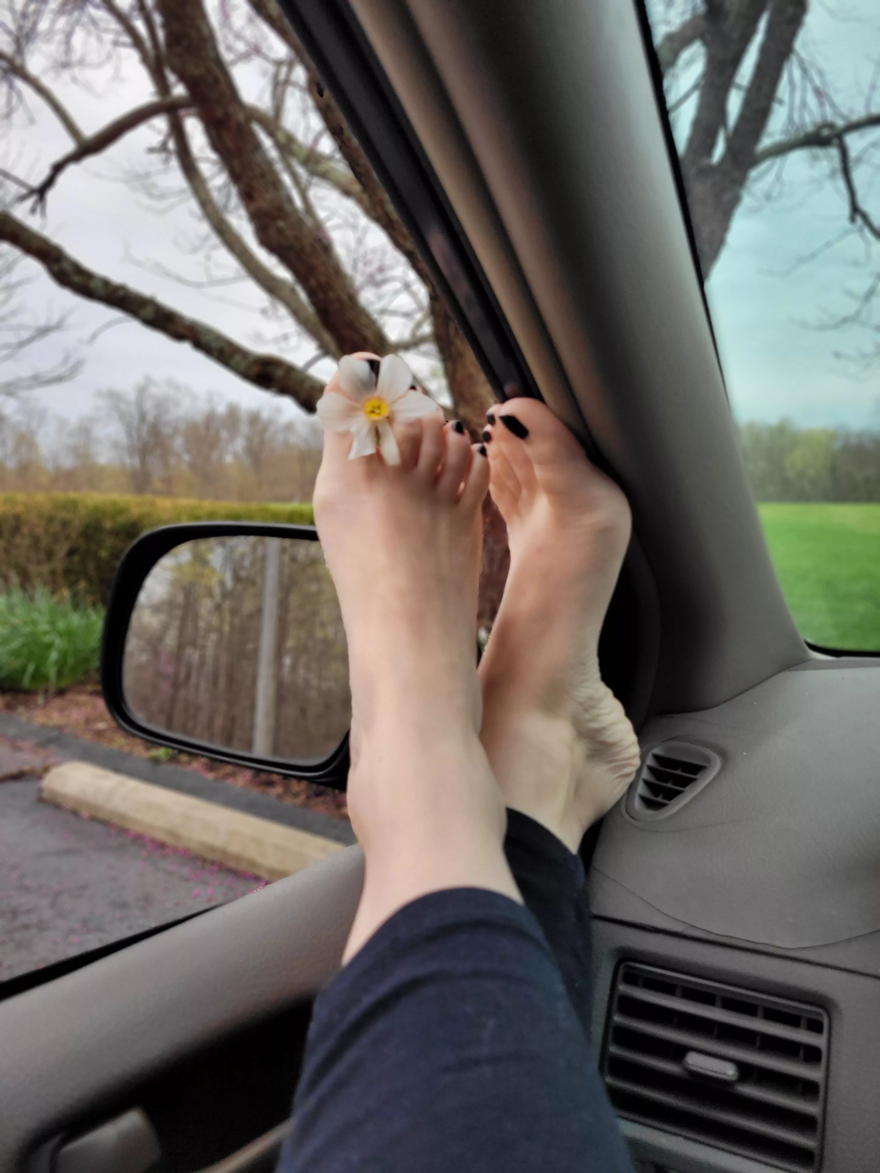 Awe thank you for the flower, I'm going to hold it here if that's ok :)