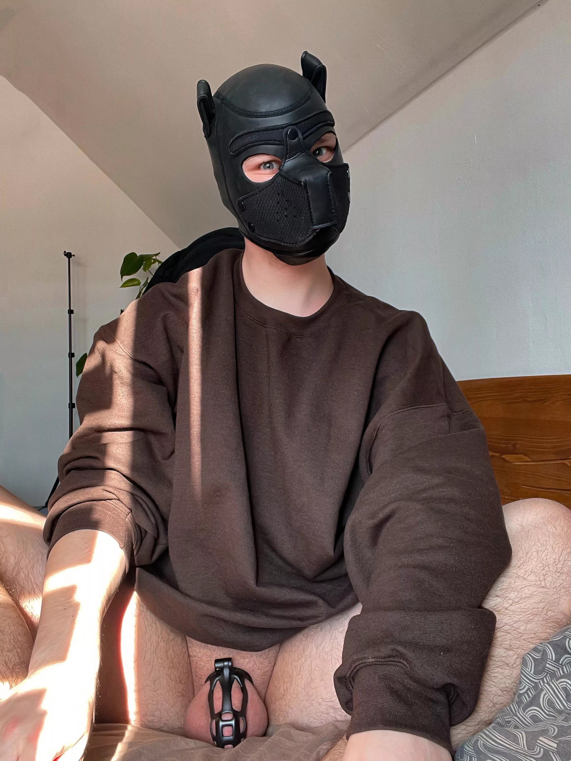 Awrooo! 🐶🔒🥺