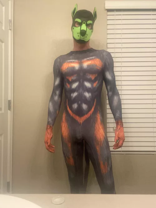 Body suit pup is on the prowl