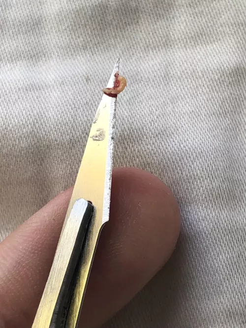 First post as a lurker, this silly little thing has been brewing for years now. Right under my left nostril