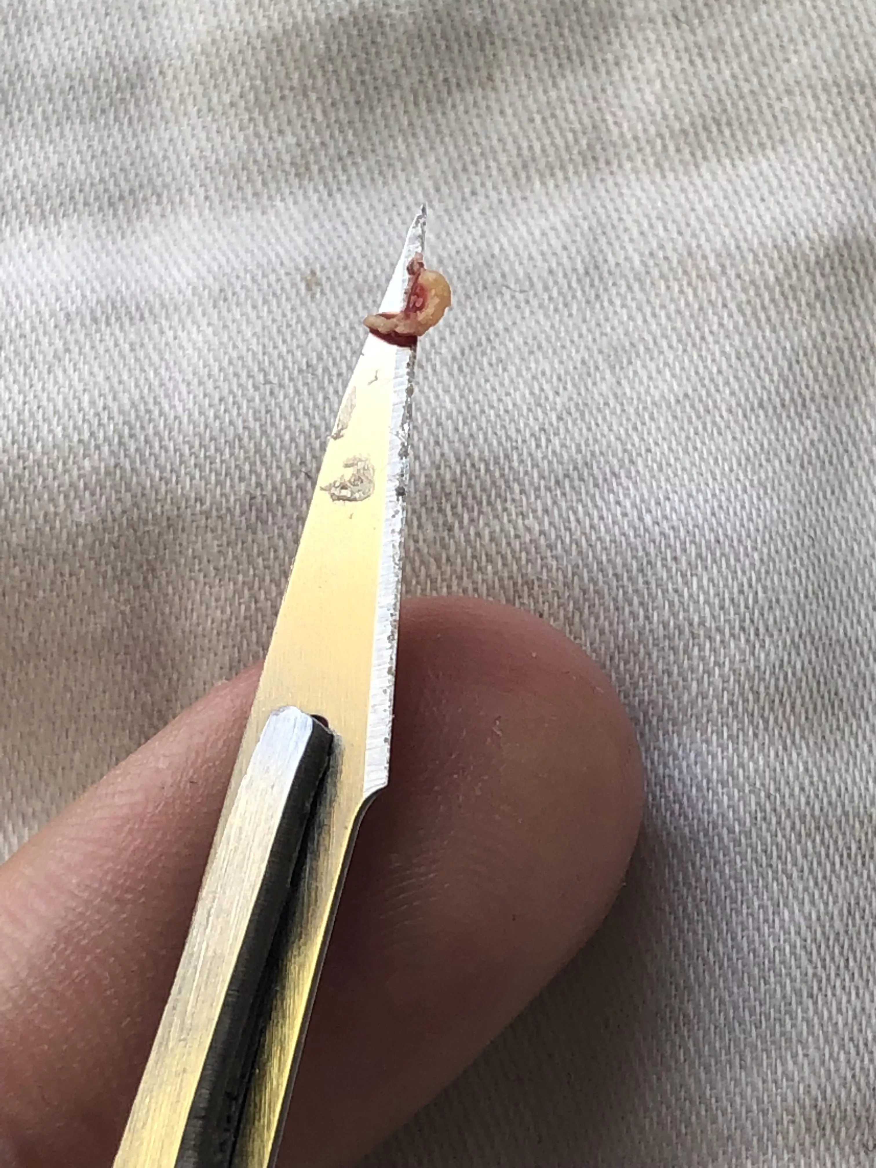 First post as a lurker, this silly little thing has been brewing for years now. Right under my left nostril