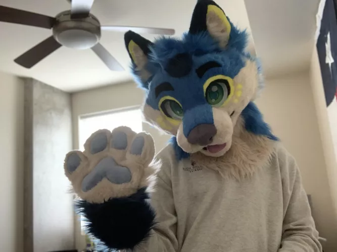 First post of my new fursuit on here 💙