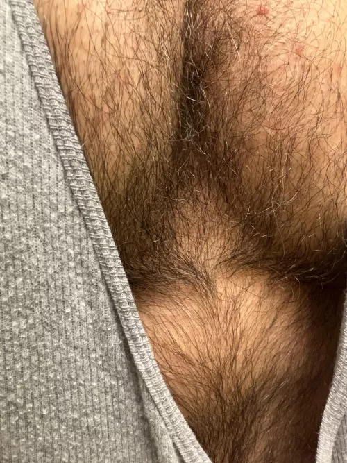 Furry pecs