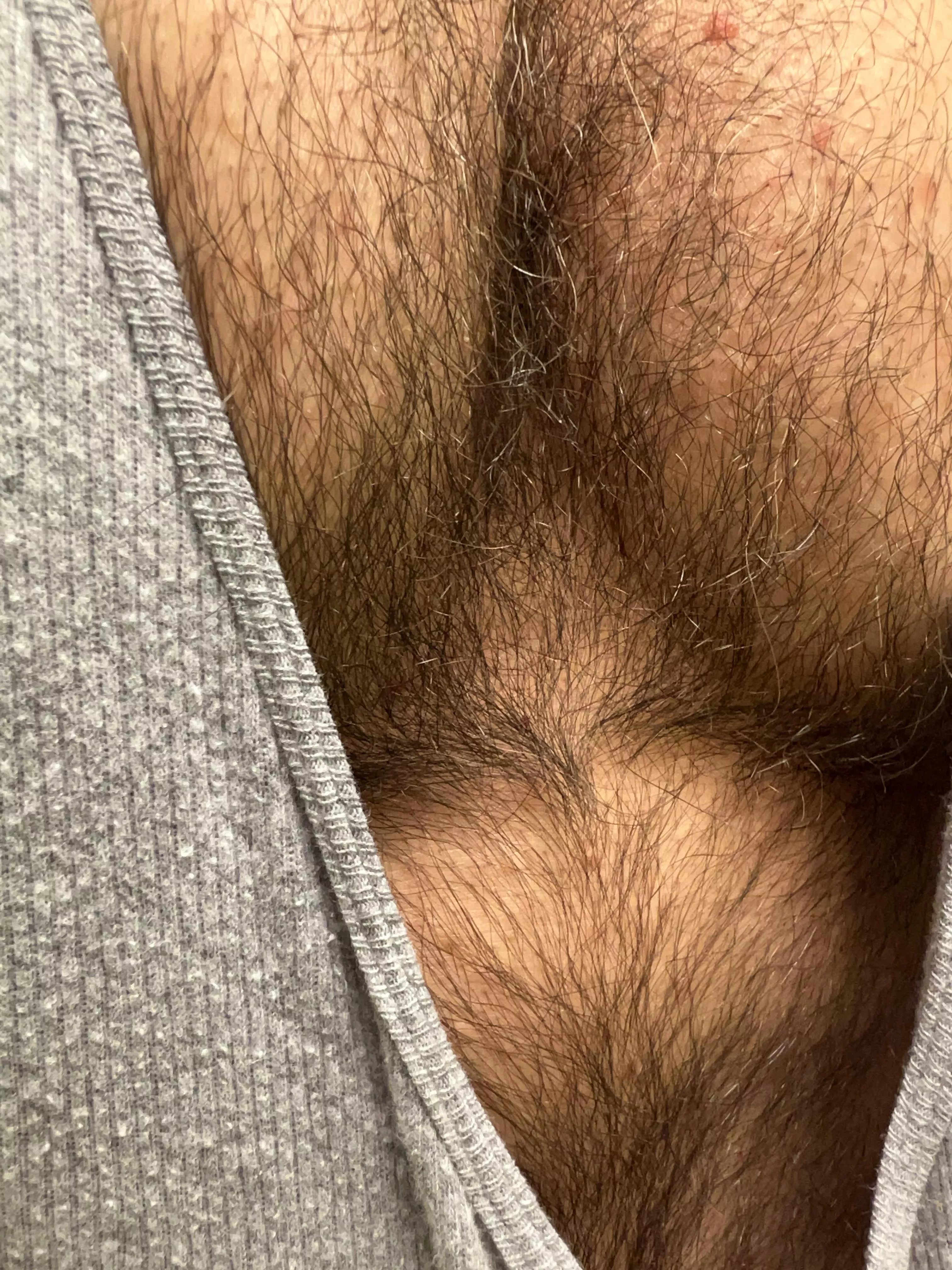 Furry pecs