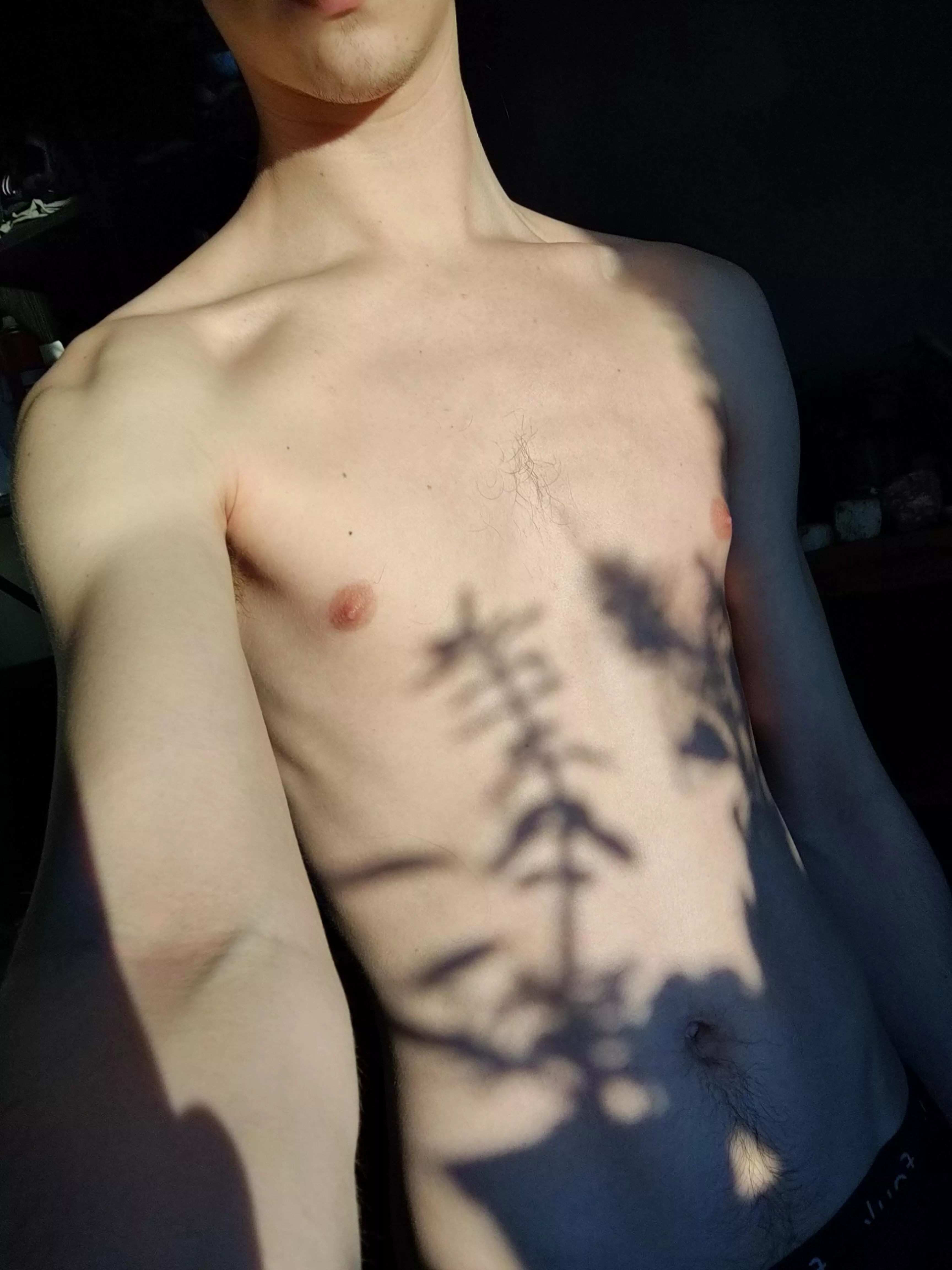 I like the shadows from my plants in this 🥺