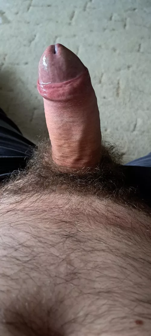 I like to be hairy