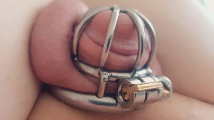 Locked up nice and snug