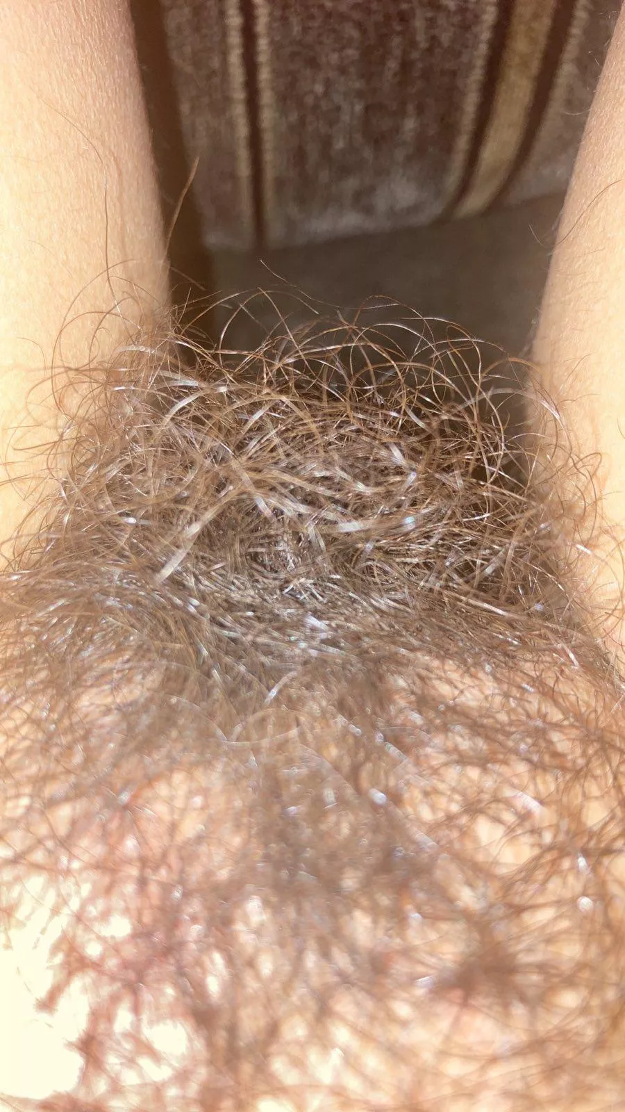 My bush is huuuuge! Wanna rub it for me?