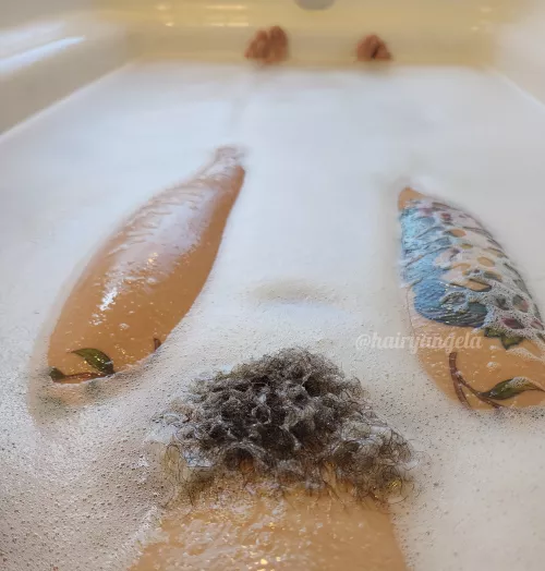 My bush saying hi (: