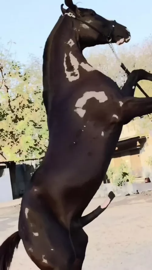 Powerfull 🔥🔥🔥