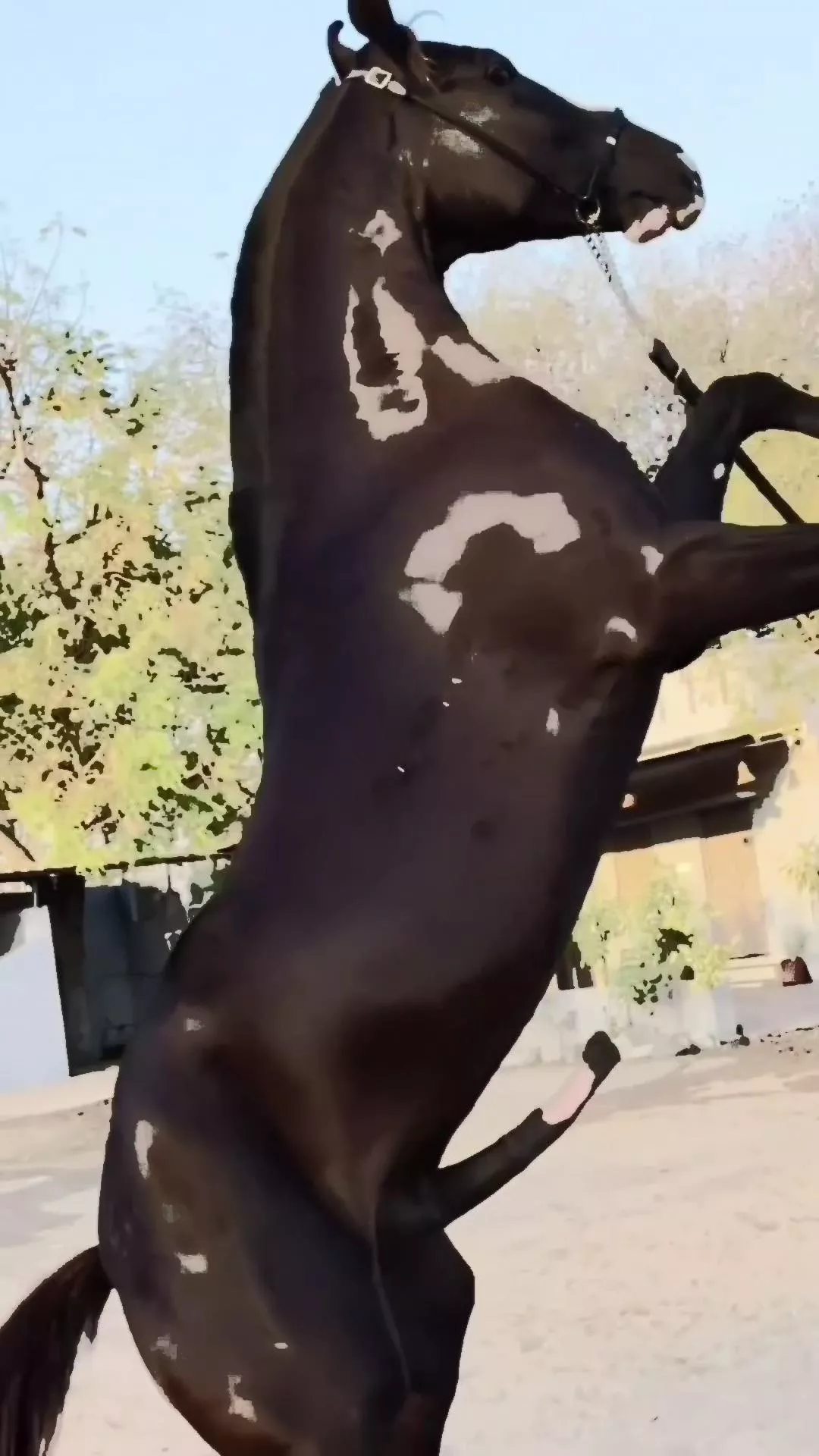 Powerfull 🔥🔥🔥