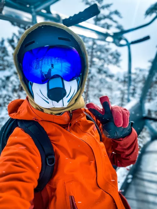 This Colorado pup likes pow(derp).