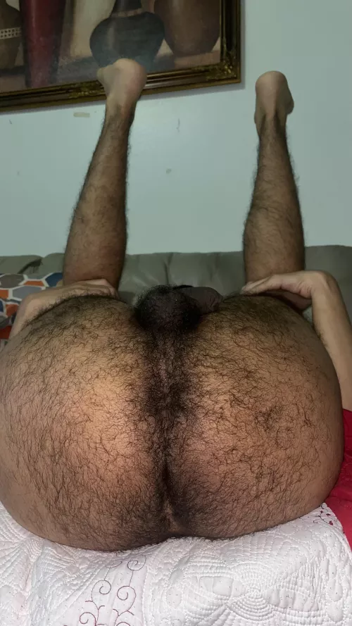 22 bottom here sc: hairybr1