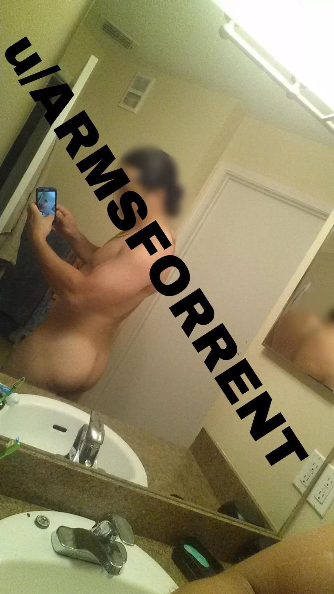 41M Respectful latino bull in Augusta GA